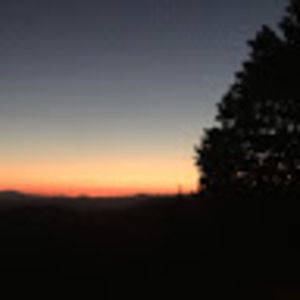 Meet your Posher, Amelie